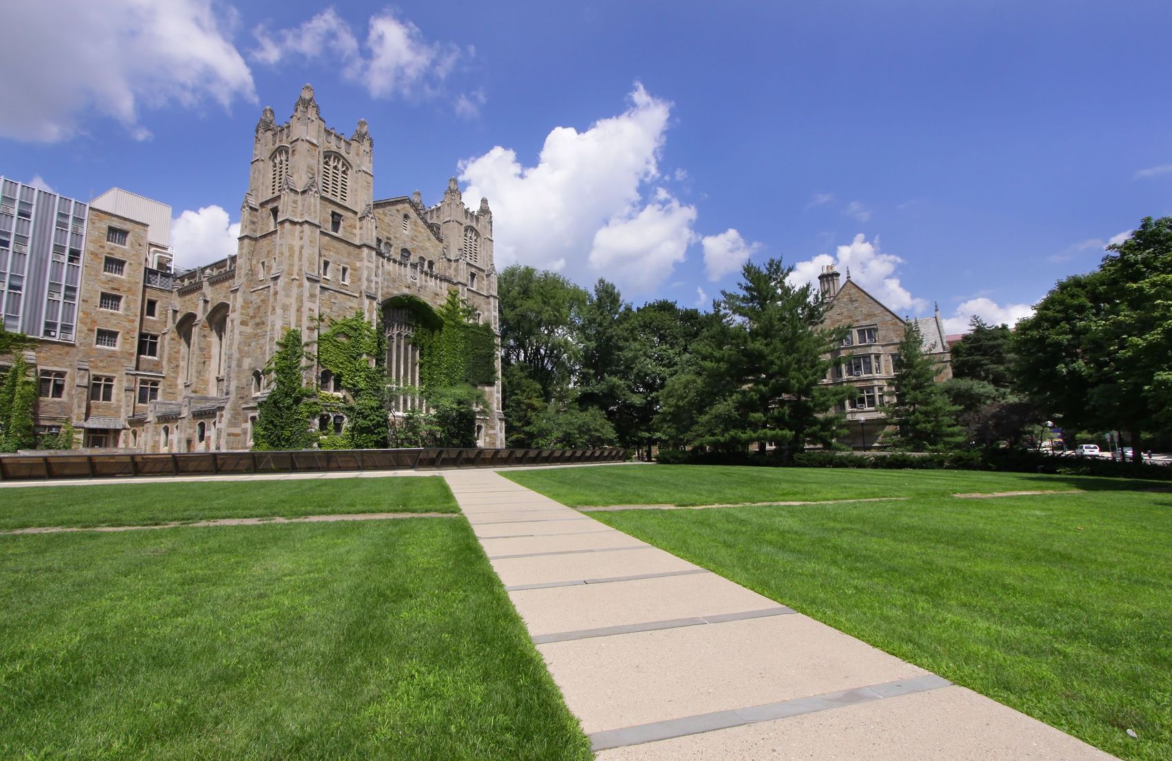 wash-and-fold-laundry-service-for-university-of-michigan-laundry-care